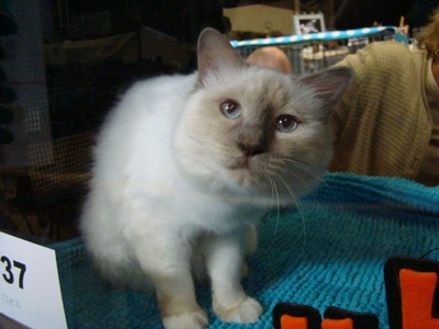 20121021_61 (Expo)